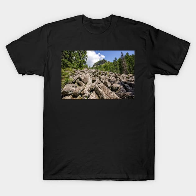 Mountain landscape with Detunatele T-Shirt by naturalis